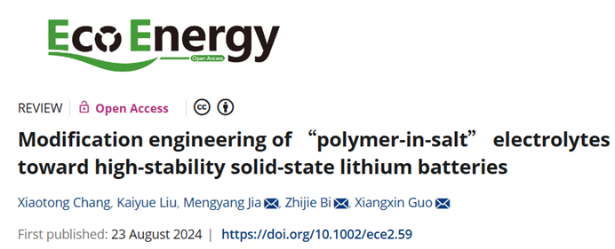 “Polymer-in-Salt”（PIS）型电解质详解